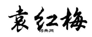 胡问遂袁红梅行书个性签名怎么写
