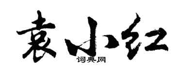 胡问遂袁小红行书个性签名怎么写