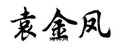 胡问遂袁金凤行书个性签名怎么写