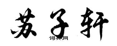 胡问遂苏子轩行书个性签名怎么写