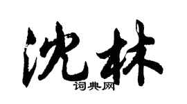 胡问遂沈林行书个性签名怎么写