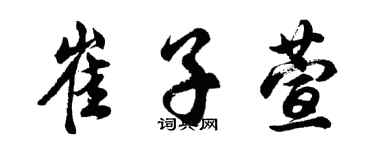 胡问遂崔子萱行书个性签名怎么写