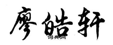 胡问遂廖皓轩行书个性签名怎么写