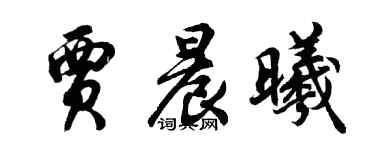 胡问遂贾晨曦行书个性签名怎么写
