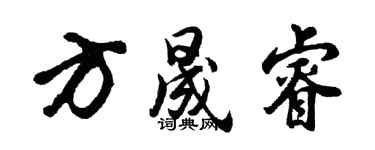 胡问遂方晟睿行书个性签名怎么写