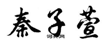 胡问遂秦子萱行书个性签名怎么写