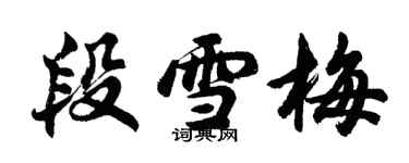 胡问遂段雪梅行书个性签名怎么写