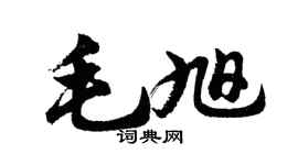 胡问遂毛旭行书个性签名怎么写