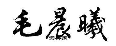 胡问遂毛晨曦行书个性签名怎么写