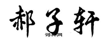 胡问遂郝子轩行书个性签名怎么写