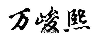 胡问遂万峻熙行书个性签名怎么写