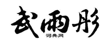 胡问遂武雨彤行书个性签名怎么写