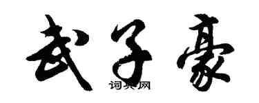 胡问遂武子豪行书个性签名怎么写