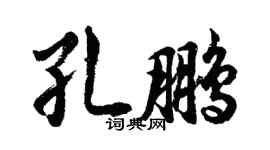胡问遂孔鹏行书个性签名怎么写