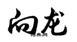 胡问遂向龙行书个性签名怎么写