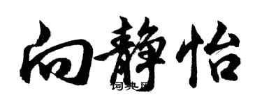 胡问遂向静怡行书个性签名怎么写