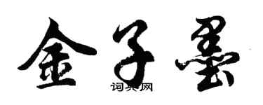 胡问遂金子墨行书个性签名怎么写