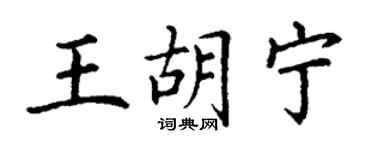 丁谦王胡宁楷书个性签名怎么写
