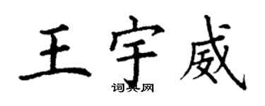 丁谦王宇威楷书个性签名怎么写