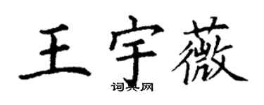 丁谦王宇薇楷书个性签名怎么写