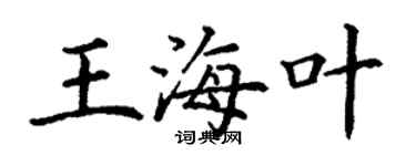 丁谦王海叶楷书个性签名怎么写