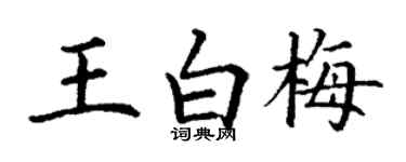 丁谦王白梅楷书个性签名怎么写
