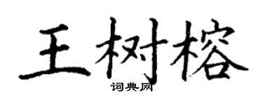丁谦王树榕楷书个性签名怎么写