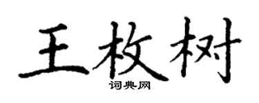 丁谦王枚树楷书个性签名怎么写