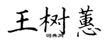 丁谦王树蕙楷书个性签名怎么写
