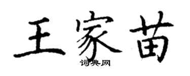 丁谦王家苗楷书个性签名怎么写