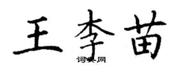 丁谦王李苗楷书个性签名怎么写