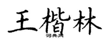 丁谦王楷林楷书个性签名怎么写