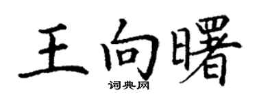 丁谦王向曙楷书个性签名怎么写