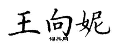 丁谦王向妮楷书个性签名怎么写