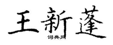 丁谦王新蓬楷书个性签名怎么写