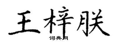 丁谦王梓朕楷书个性签名怎么写