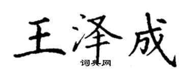 丁谦王泽成楷书个性签名怎么写