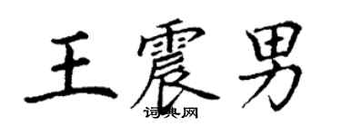 丁谦王震男楷书个性签名怎么写