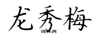 丁谦龙秀梅楷书个性签名怎么写