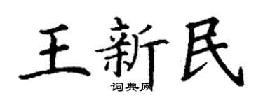 丁谦王新民楷书个性签名怎么写