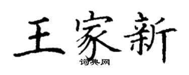 丁谦王家新楷书个性签名怎么写