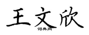 丁谦王文欣楷书个性签名怎么写