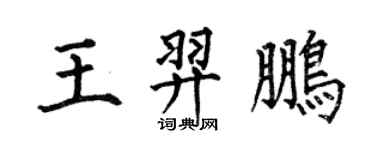 何伯昌王羿鹏楷书个性签名怎么写