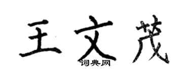 何伯昌王文茂楷书个性签名怎么写