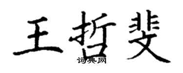 丁谦王哲斐楷书个性签名怎么写