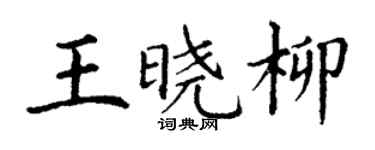 丁谦王晓柳楷书个性签名怎么写