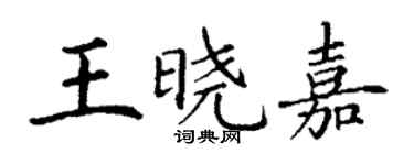 丁谦王晓嘉楷书个性签名怎么写