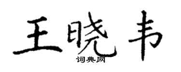 丁谦王晓韦楷书个性签名怎么写