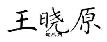 丁谦王晓原楷书个性签名怎么写