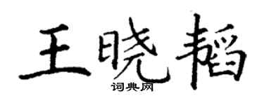丁谦王晓韬楷书个性签名怎么写